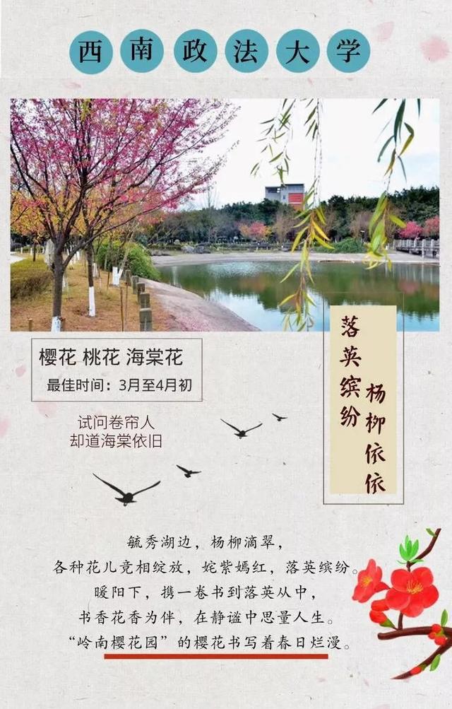 蔷薇花语 蔷薇花语（蔷薇花语录） 生活