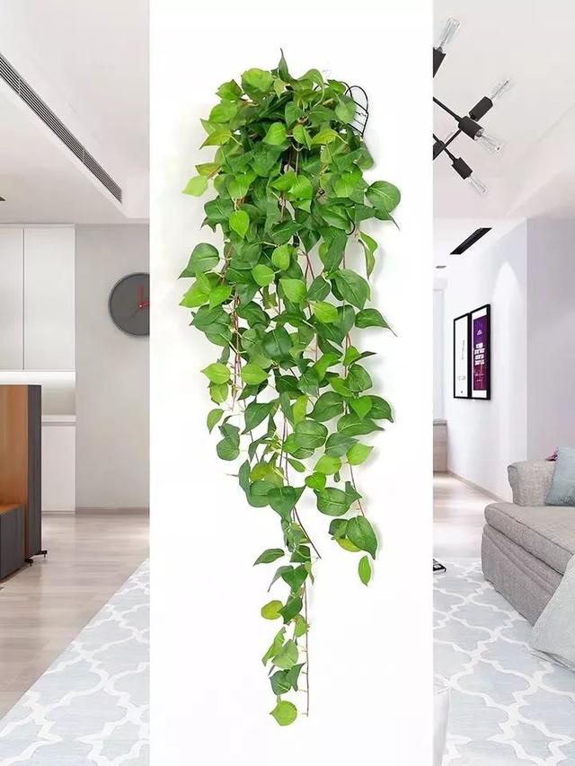 仿真绿植装饰效果图（绿植设计与3d创意效果图）(25)