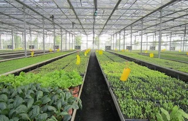 26个村落串起8条游赏线踏青约起来（踏青赏花美如画）(23)