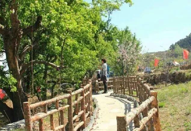 26个村落串起8条游赏线踏青约起来（踏青赏花美如画）(34)