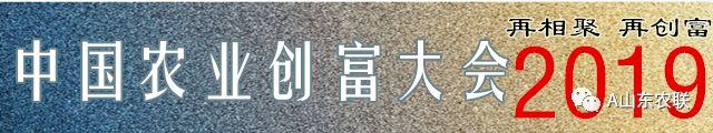洗砂机服务好青州鲁晟