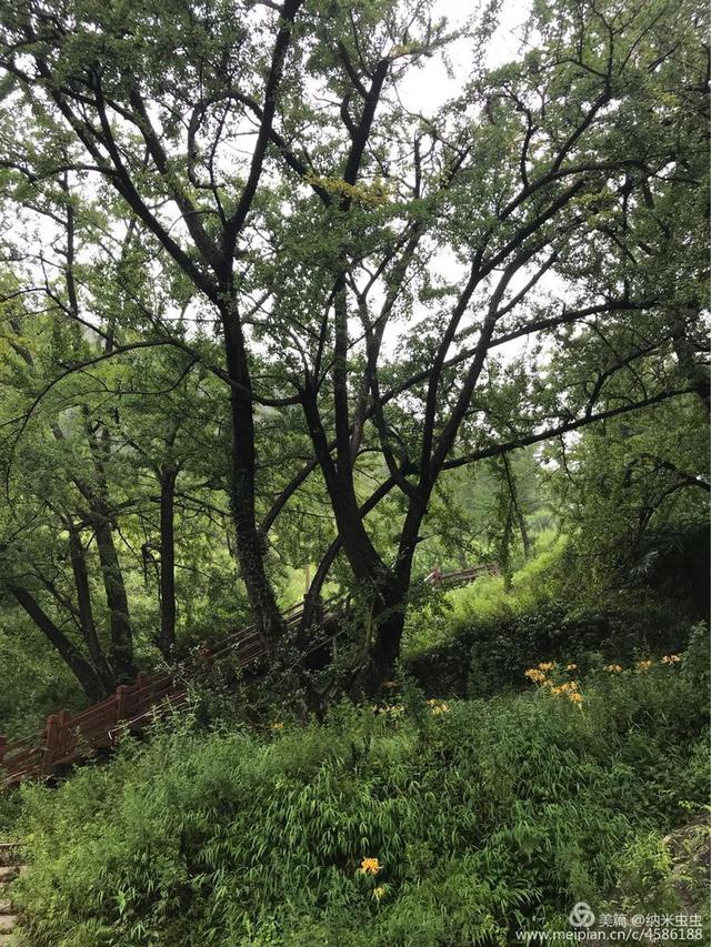 娄底玄武岩圆锥破碎机