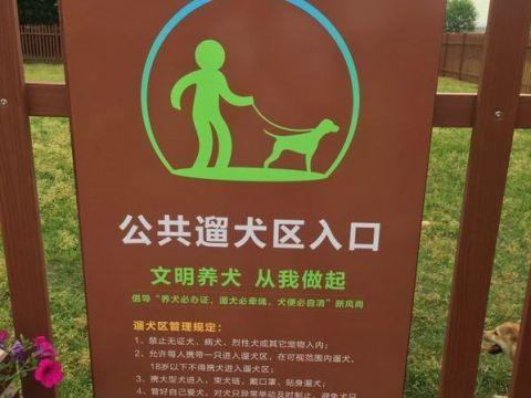 杭州公共遛犬区