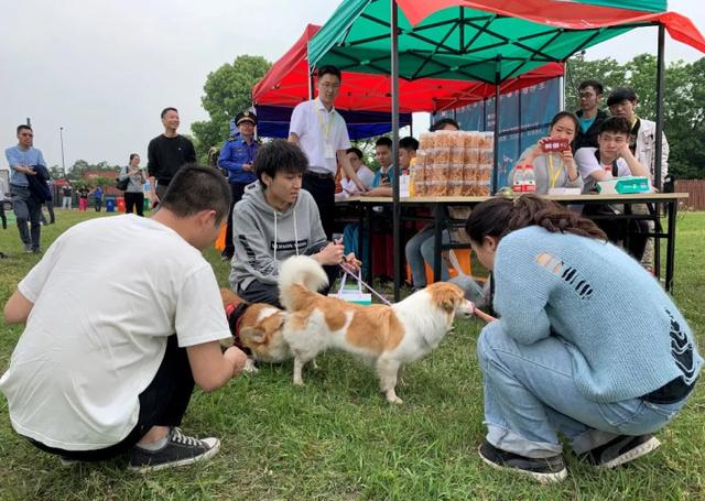 杭州公共遛犬区