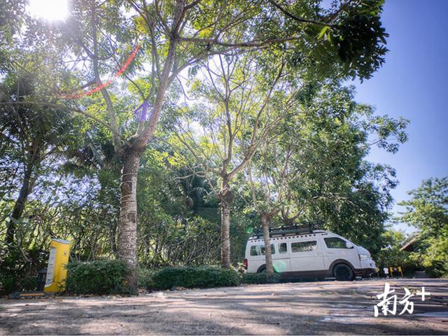 东莞青旅国际旅行社