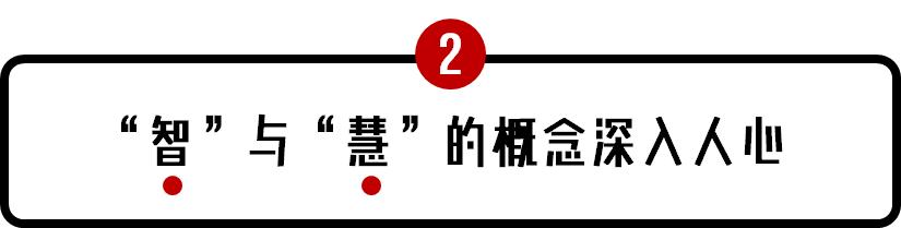 华宇亮相雪亮工程成果展