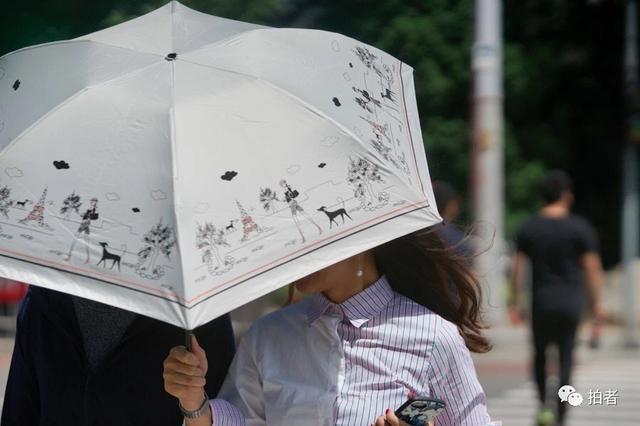 电视剧北京夏天