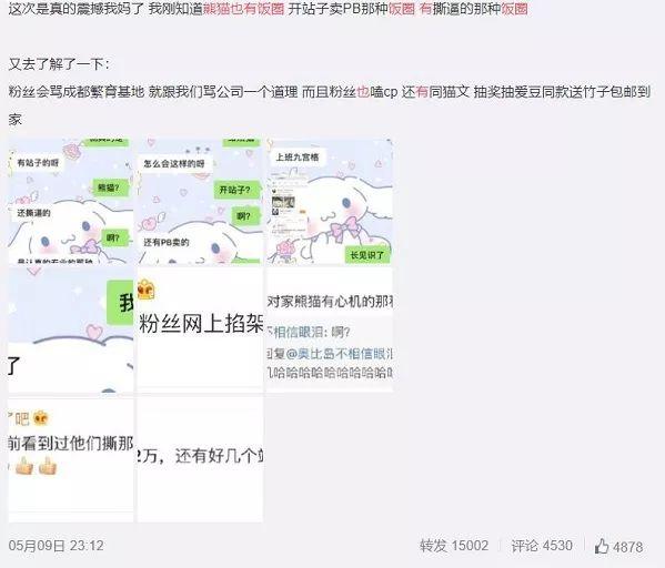 熊猫娱乐圈「熊猫吧」