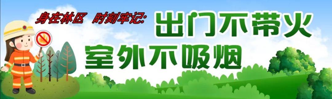 大兴安岭电镀过滤机