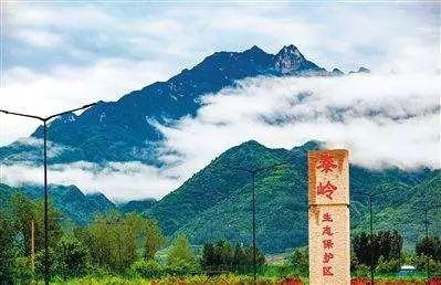 一张图看懂尾矿库