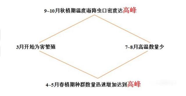 「独家」抢滩百亿“小虫”市场3