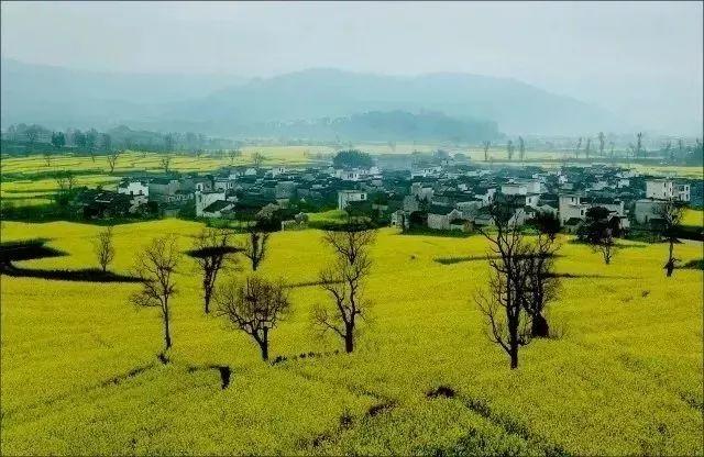 安徽文展建设工程