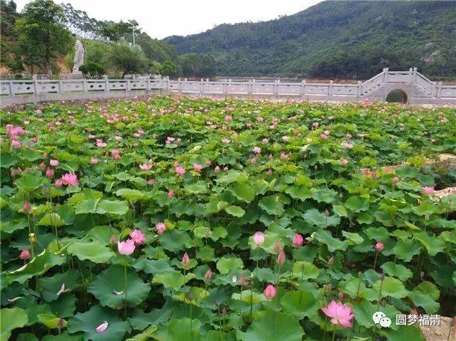福清旅游景点大全