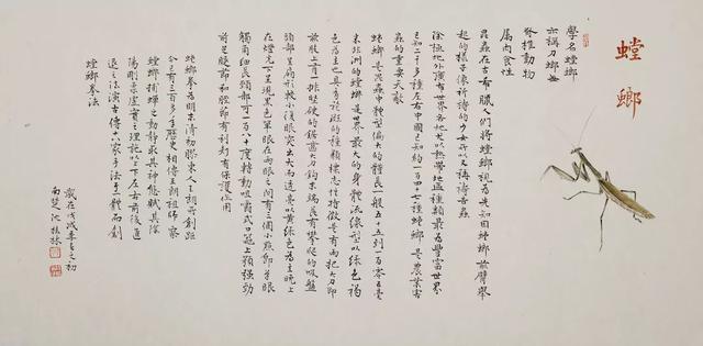 sw钣金工程图中展不开