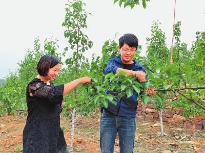 用破碎机破坏高跟鞋