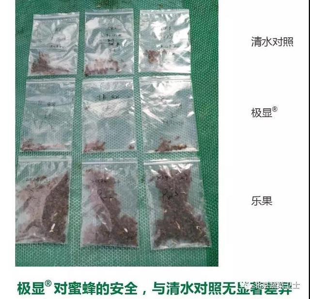 玩游戏赢试用品，奔跑吧，拜耳极显®5