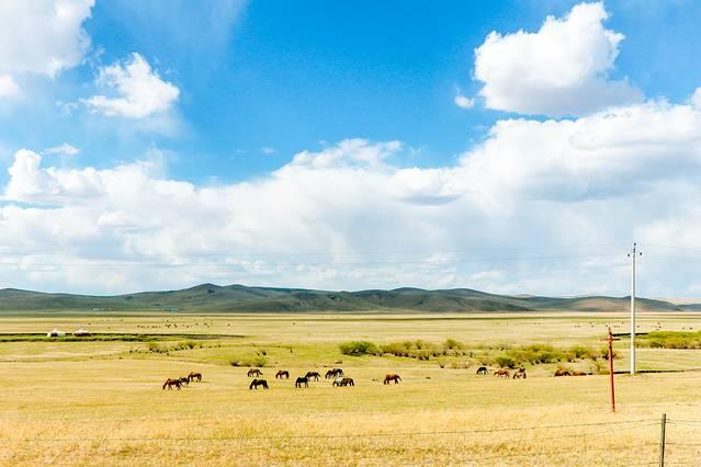 广式老吴奶香身体乳推荐