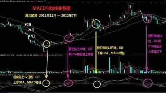 金叉是指什么意思视频