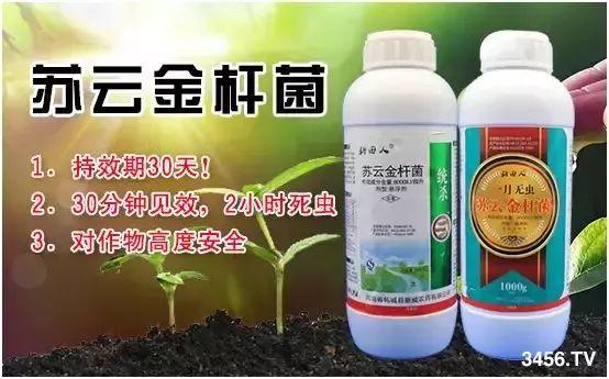 杀虫广谱，效果独特，30分钟见效，2小时死虫，8小时死虫率95%以上5