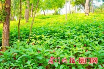 山东宏展景观工程公司