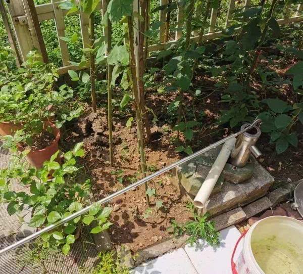 人民水泵