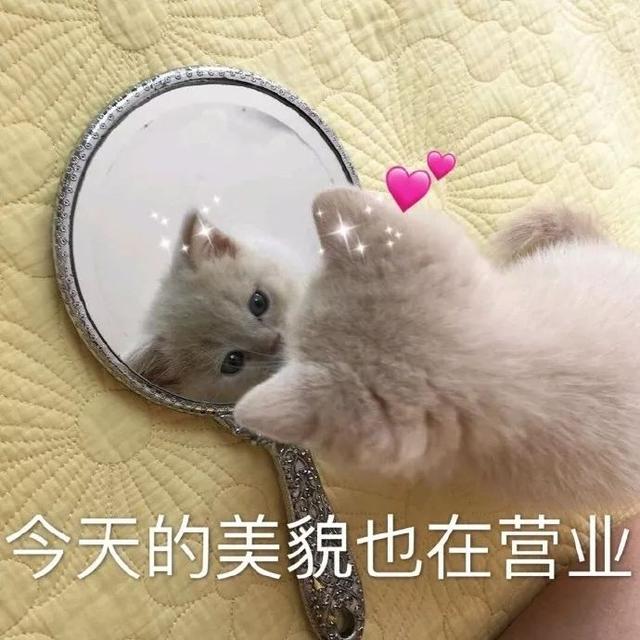 透真身体乳套装测评