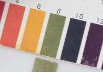 透真身体乳套装测评