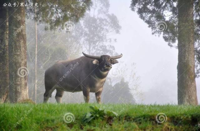 犬戎族灭了什么朝代,灭亡西周的犬戎是什么民族