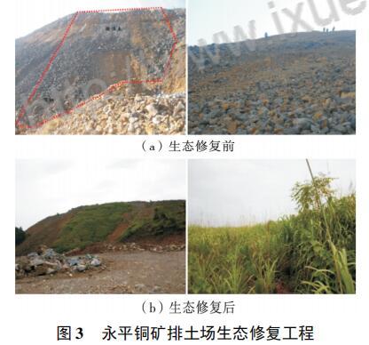 尾矿地是什么意思