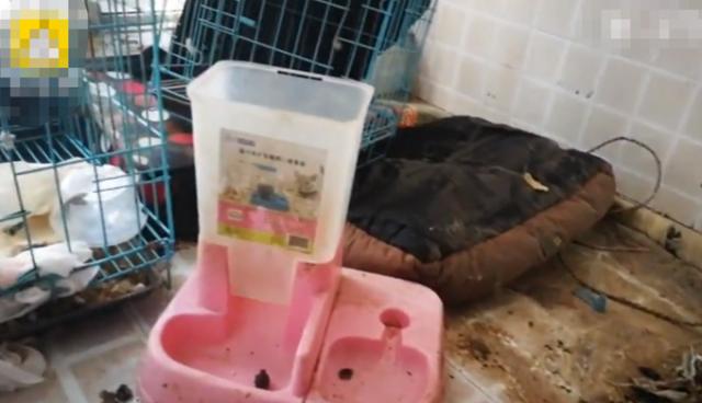 网红住房留下垃圾（女网红租房期满留一屋狗屎垃圾）(1)
