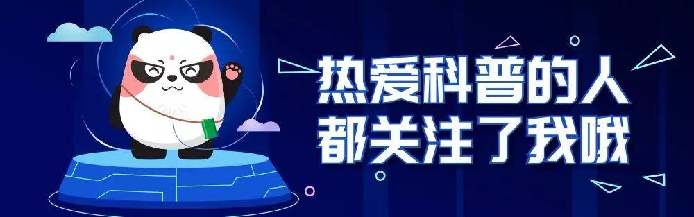 母螳螂吃公螳螂是为什么