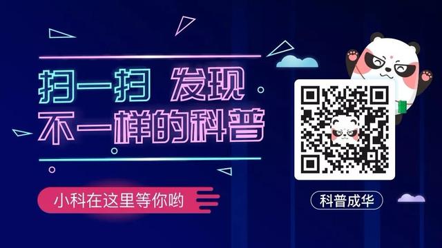 母螳螂吃公螳螂是为什么