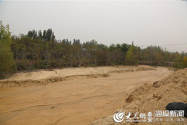 新泰轮式洗砂机