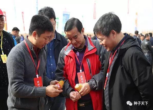 燕麦籽粒破碎机的参数