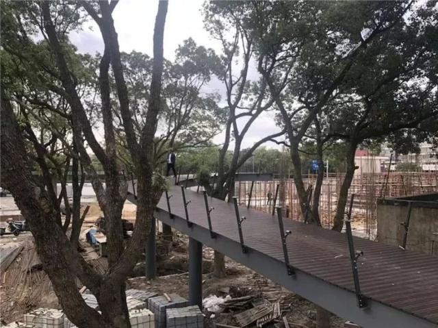 展茅工程封顶
