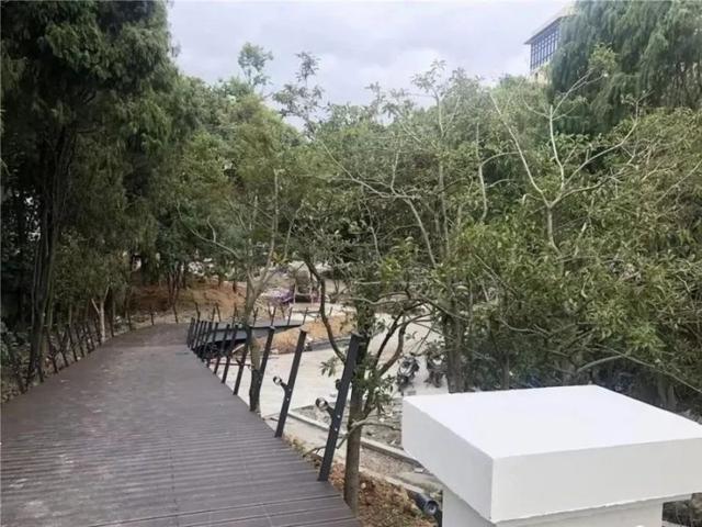 展茅工程封顶