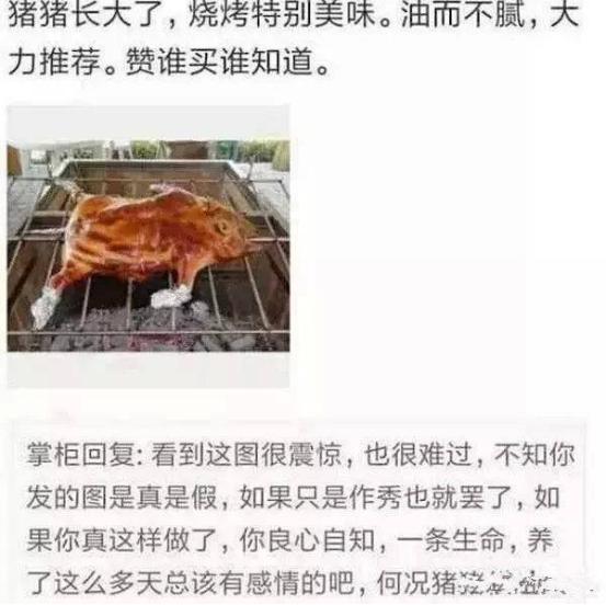 小香猪多少钱一只