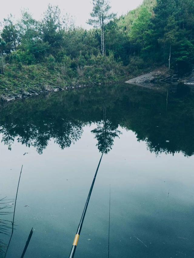 梦到别人钓鱼是什么意思