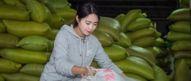 叉车改装破碎机的简单介绍