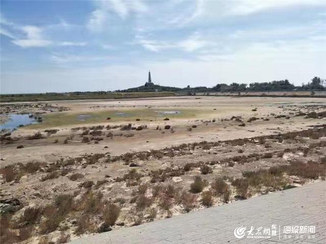 关于广南洗砂机厂商的信息