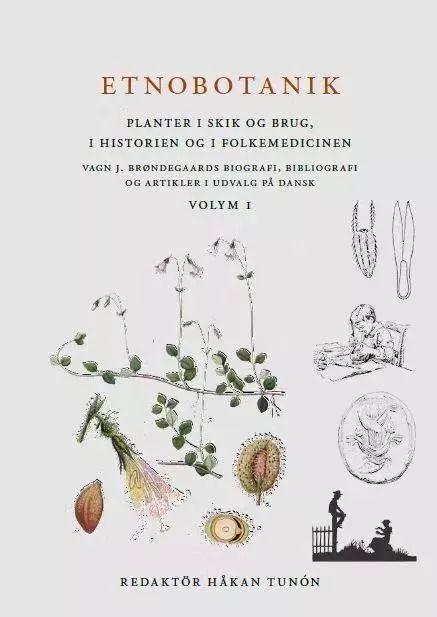 汗蒸能涂身体乳么