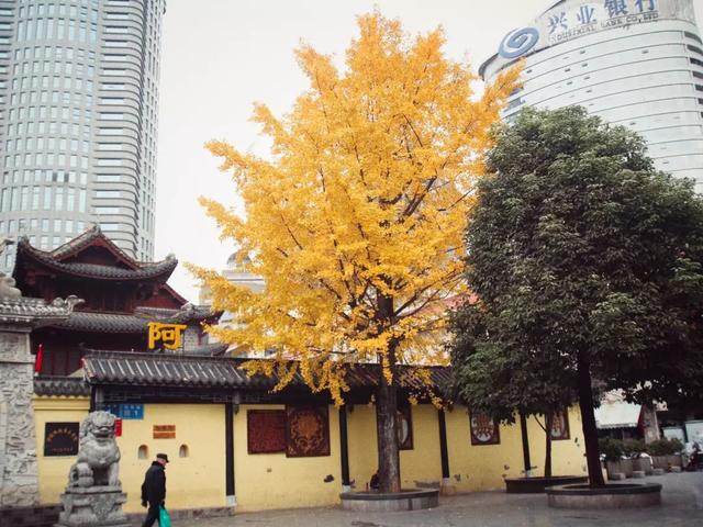 文昌阁展陈的提升工程