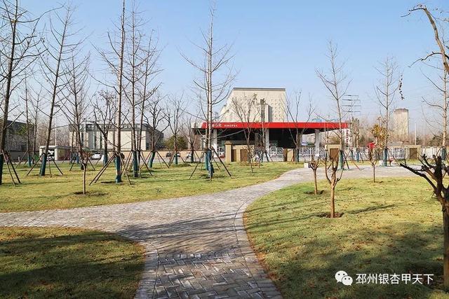 邳州展鸿绿化苗木工程