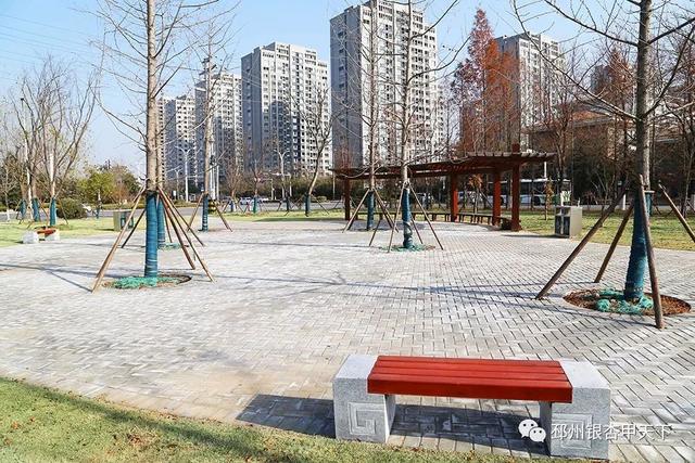 邳州展鸿绿化苗木工程