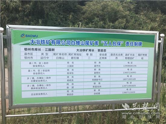 尾矿库在线监测系统规范