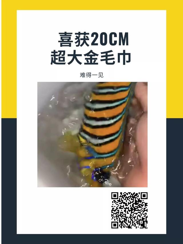 海缸过滤机水能用吗