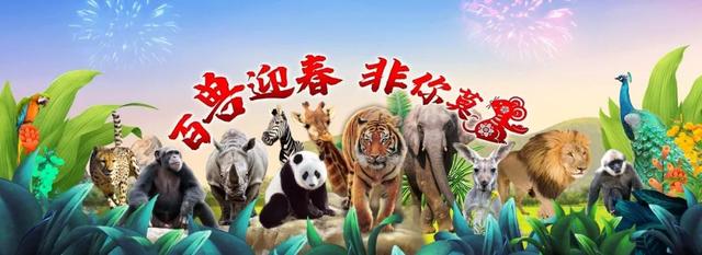 最良心的旅游年票（沪上13家景点年票攻略在此）(4)