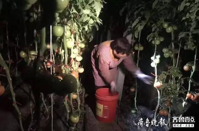 聊城质量好真空过滤机推荐