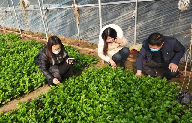 贵溪轮式洗砂机_轮式洗砂机图纸