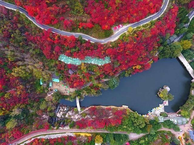 山东免门票至3月31日景区（山东这些景区恢复开放啦）(4)